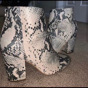 Steve Madden snakeskin booties